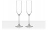 PROSECCO GLASS