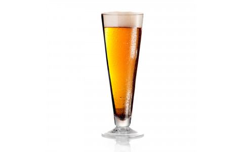 SET BEERGLASS PILSNER