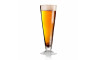 SET BEERGLASS PILSNER